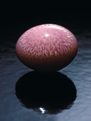 What are conch pearls? What are conch pearls?