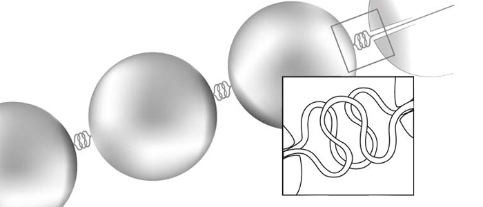 Pearl Care Pearl Care